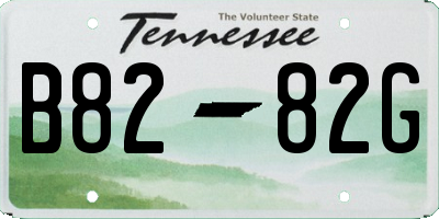 TN license plate B8282G