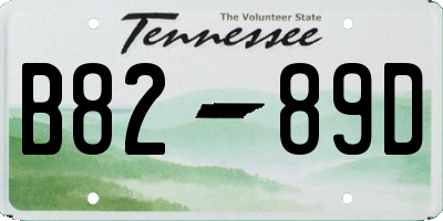 TN license plate B8289D