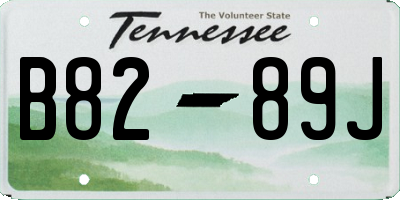 TN license plate B8289J
