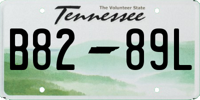 TN license plate B8289L