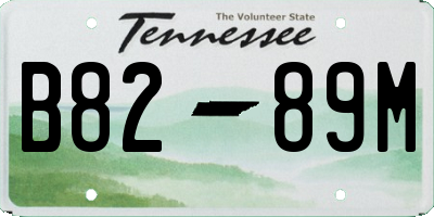TN license plate B8289M