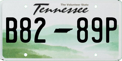 TN license plate B8289P