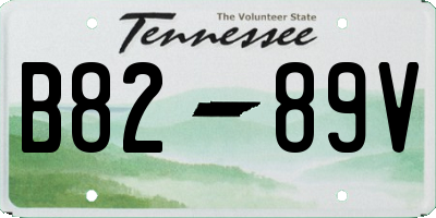 TN license plate B8289V