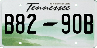 TN license plate B8290B
