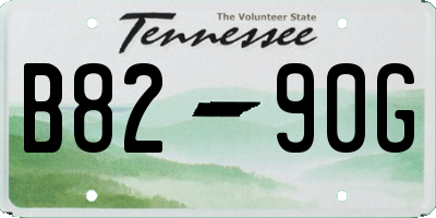TN license plate B8290G