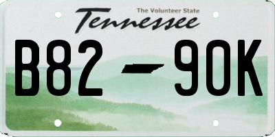 TN license plate B8290K