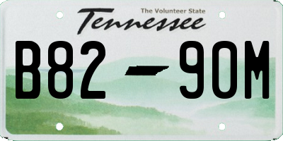 TN license plate B8290M