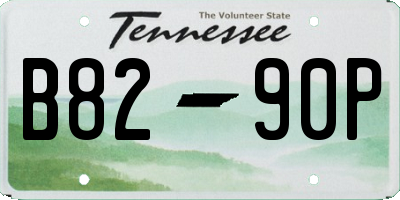 TN license plate B8290P