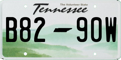 TN license plate B8290W
