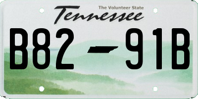 TN license plate B8291B