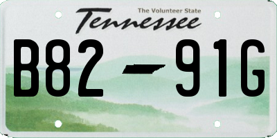 TN license plate B8291G
