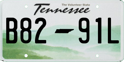 TN license plate B8291L