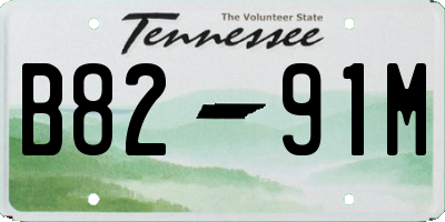 TN license plate B8291M
