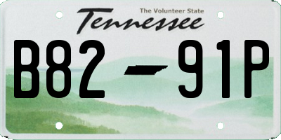 TN license plate B8291P