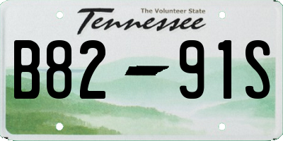 TN license plate B8291S