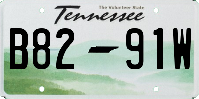 TN license plate B8291W