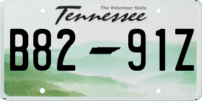 TN license plate B8291Z
