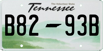 TN license plate B8293B