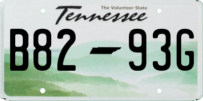 TN license plate B8293G