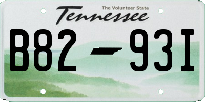 TN license plate B8293I