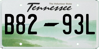 TN license plate B8293L