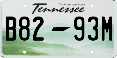 TN license plate B8293M