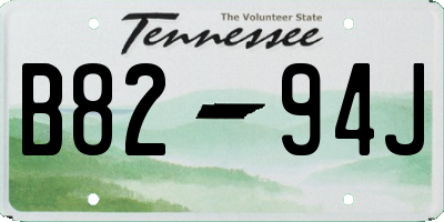 TN license plate B8294J