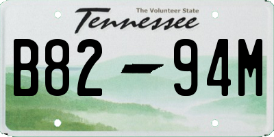 TN license plate B8294M
