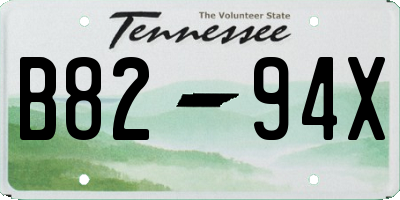 TN license plate B8294X