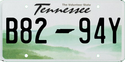 TN license plate B8294Y
