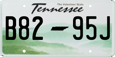 TN license plate B8295J