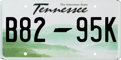 TN license plate B8295K