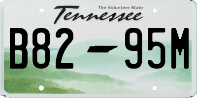 TN license plate B8295M