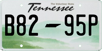 TN license plate B8295P