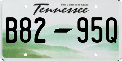 TN license plate B8295Q