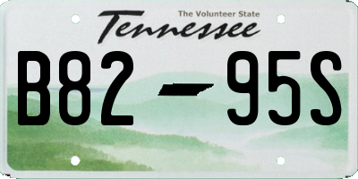 TN license plate B8295S