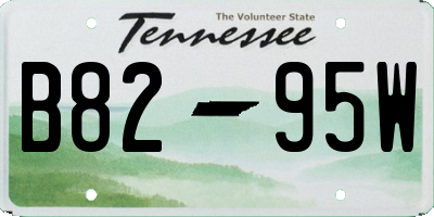 TN license plate B8295W