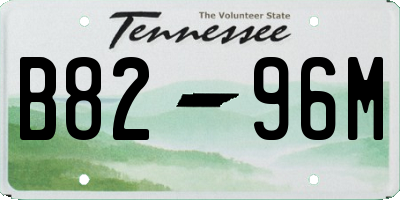 TN license plate B8296M
