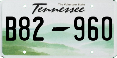 TN license plate B8296O