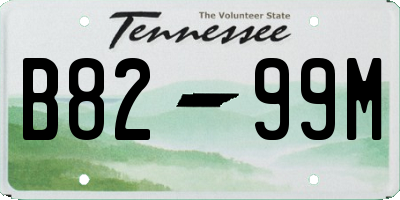 TN license plate B8299M