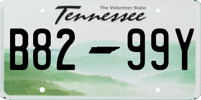 TN license plate B8299Y