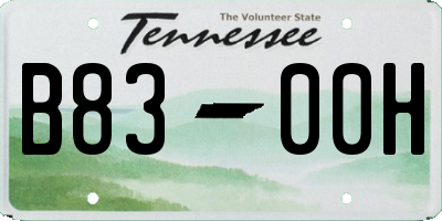TN license plate B8300H