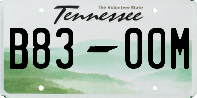 TN license plate B8300M
