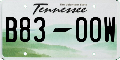 TN license plate B8300W