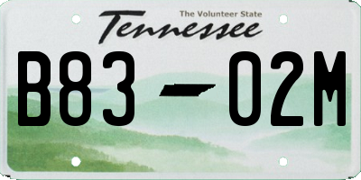 TN license plate B8302M