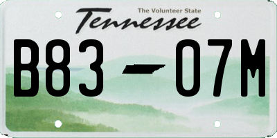 TN license plate B8307M