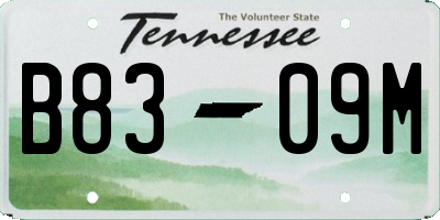 TN license plate B8309M