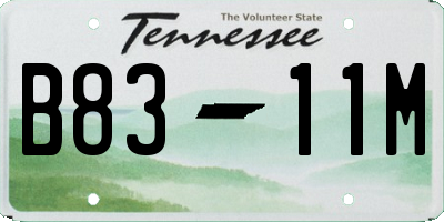 TN license plate B8311M