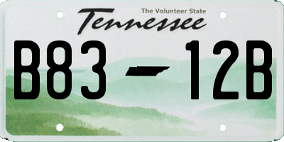 TN license plate B8312B
