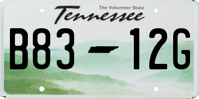TN license plate B8312G
